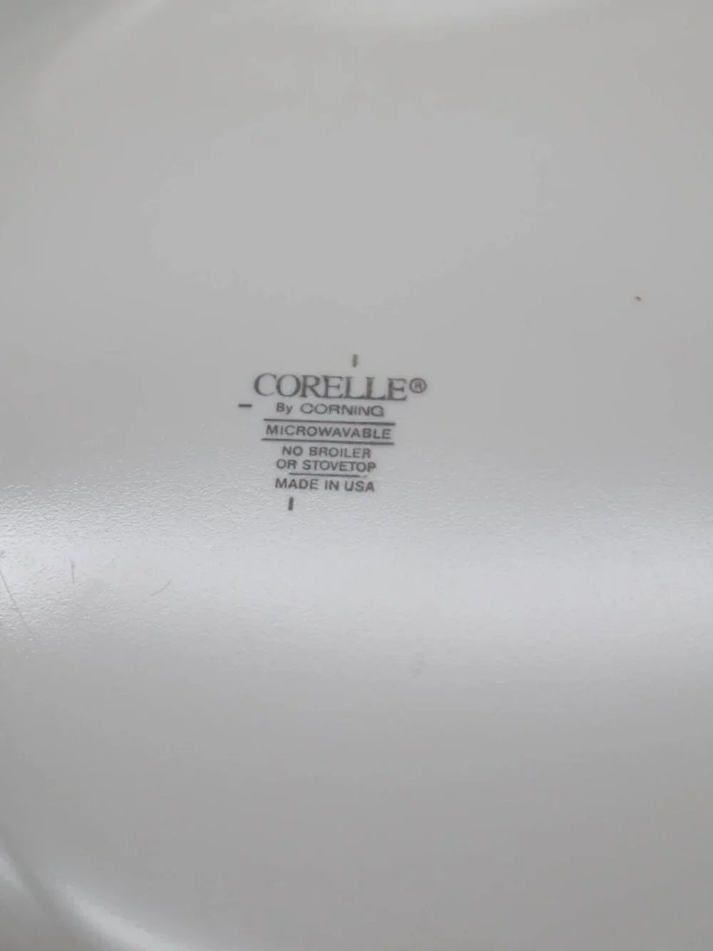 2 Corning Corelle Blueberry Bouquet Dinner Plates 10 1/4